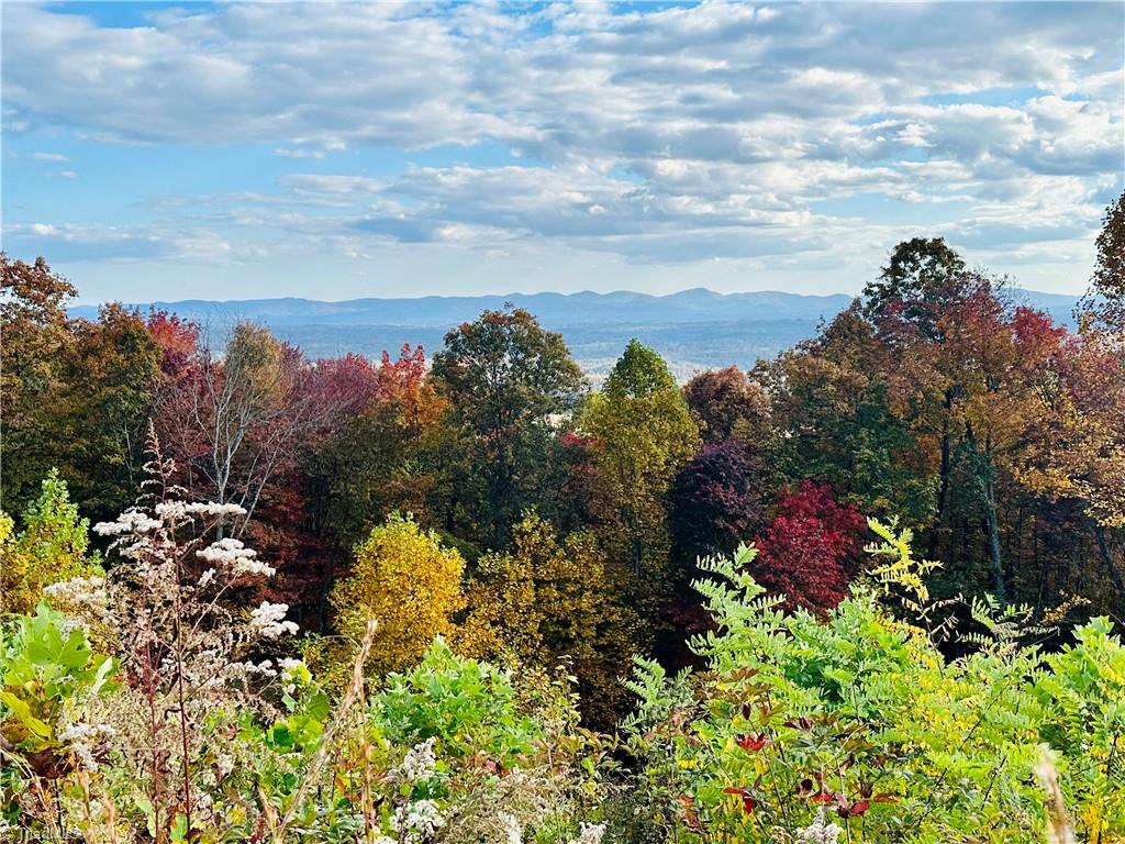 Tbd Highland N Road North Wilkesboro, NC 28659 - Photo 3 of 45 Taken from the driveway across the street.