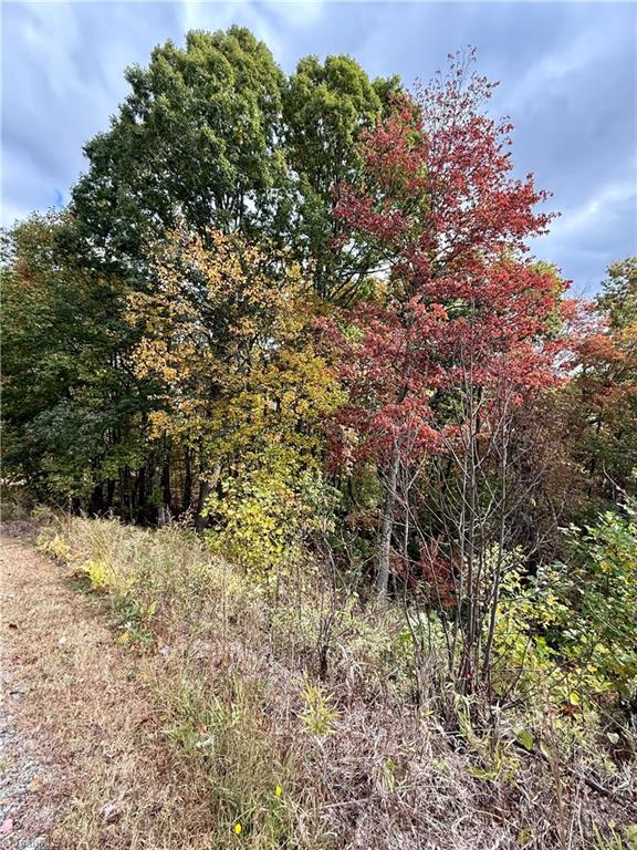 Tbd Highland N Road North Wilkesboro, NC 28659 - Photo 38 of 45