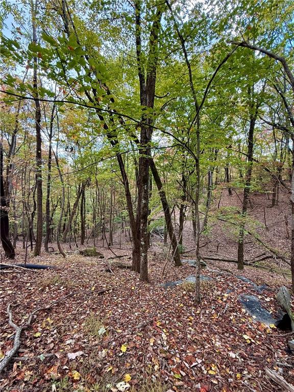 Tbd Highland N Road North Wilkesboro, NC 28659 - Photo 41 of 45