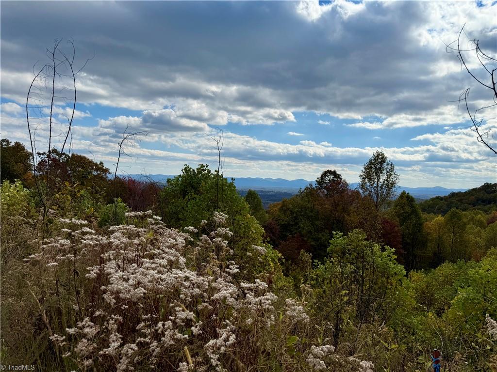 Tbd Highland N Road North Wilkesboro, NC 28659 - Photo 43 of 45