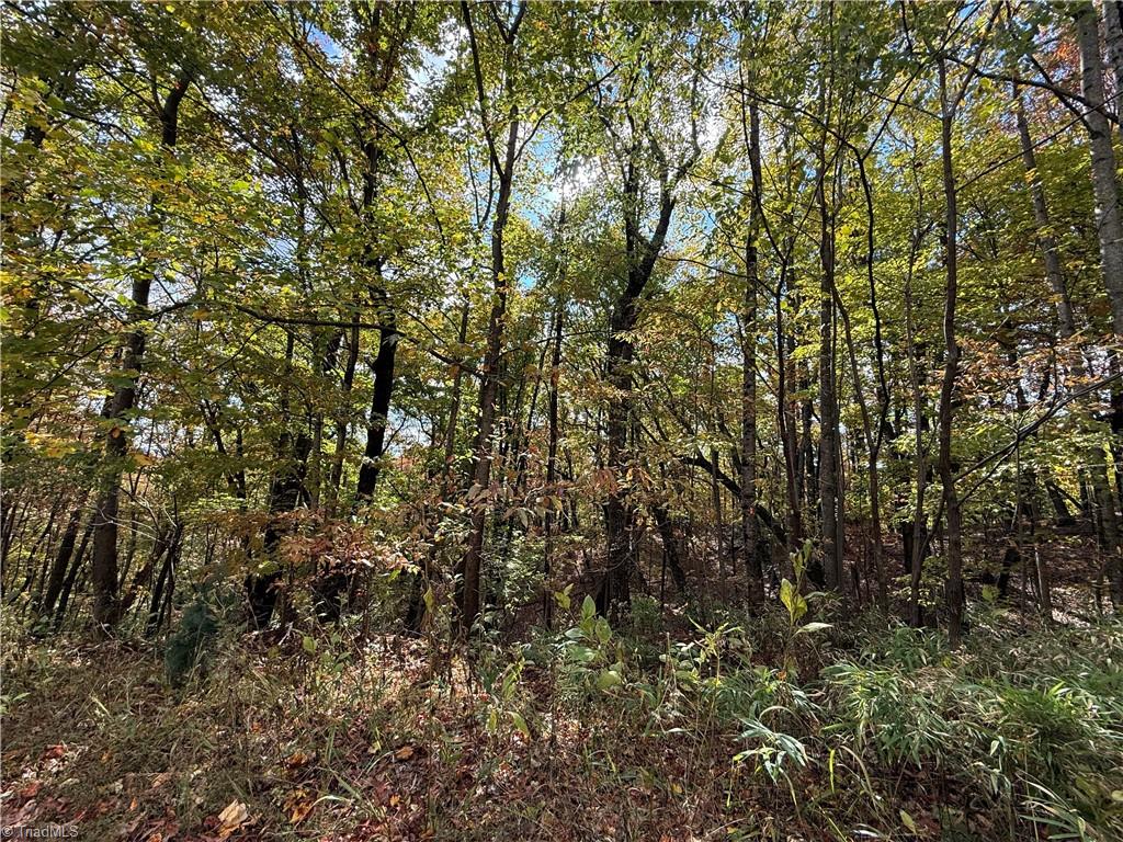 Tbd Highland N Road North Wilkesboro, NC 28659 - Photo 44 of 45