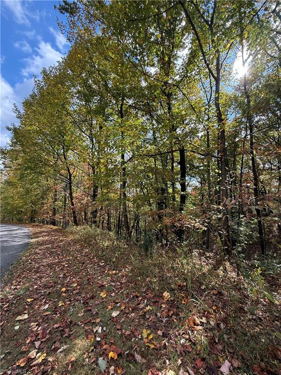 Tbd Highland N Road North Wilkesboro, NC 28659 - Photo 45 of 45