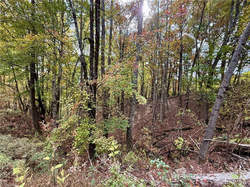 Tbd Highland N Road North Wilkesboro, NC 28659 - Photo 7 of 45