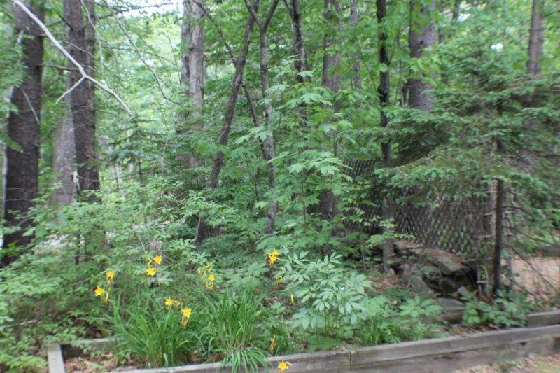 31 Shore Road Windham, ME 04062 - Photo 5 of 18 IMG_2970