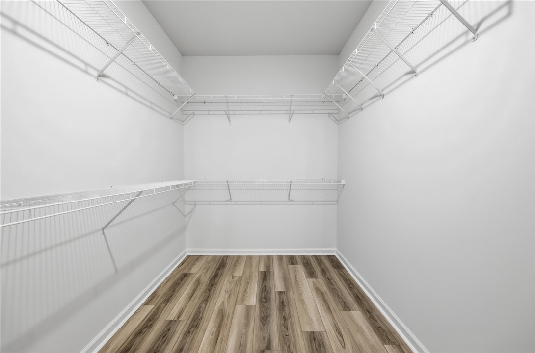 218 Bellflower Lane Anderson, SC 29625 - Photo 19 of 37 Primary Walk-Jn Closet