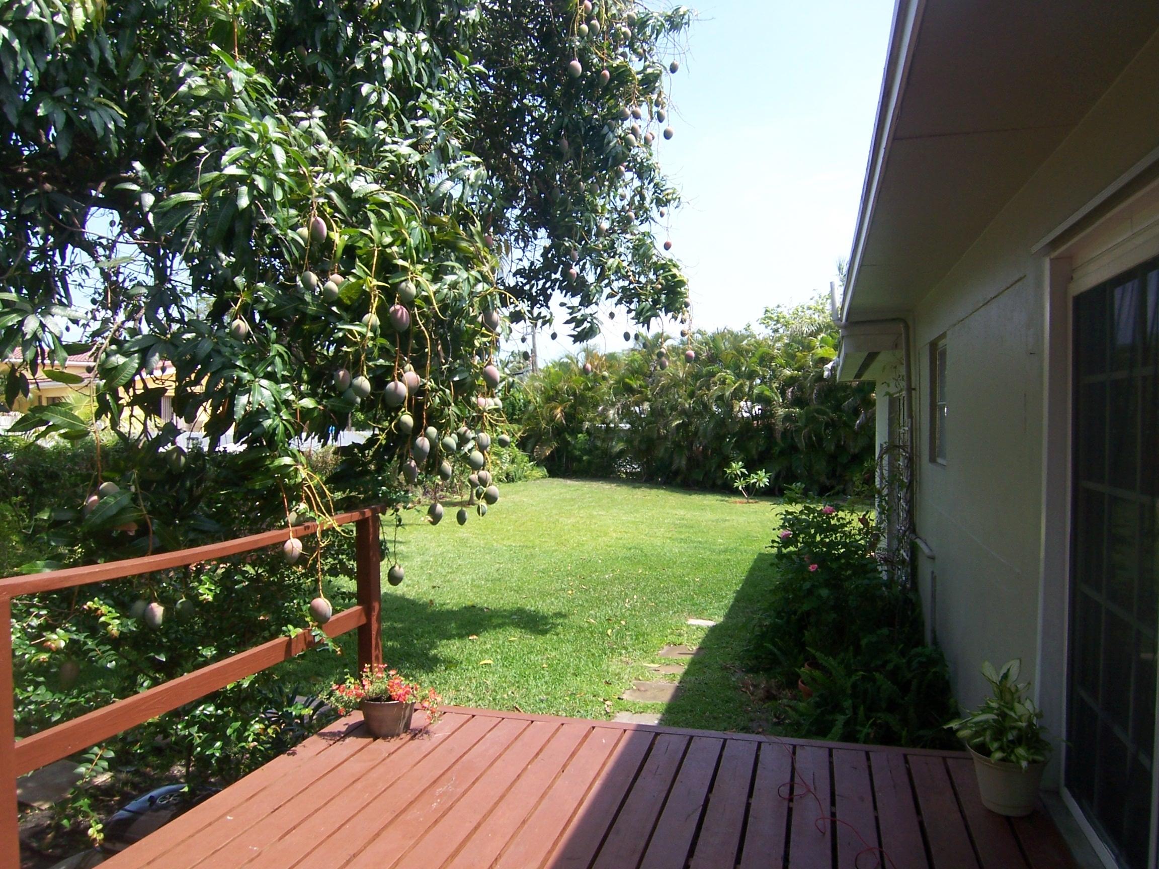 1450 Northeast 4th Avenue Boca Raton, FL 33432 - Photo 7 of 25 Haydee 2014 011