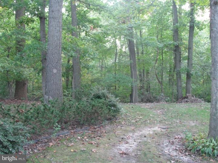243 Johnson Road Turnersville, NJ 08012 - Photo 22 of 22 View in Back
