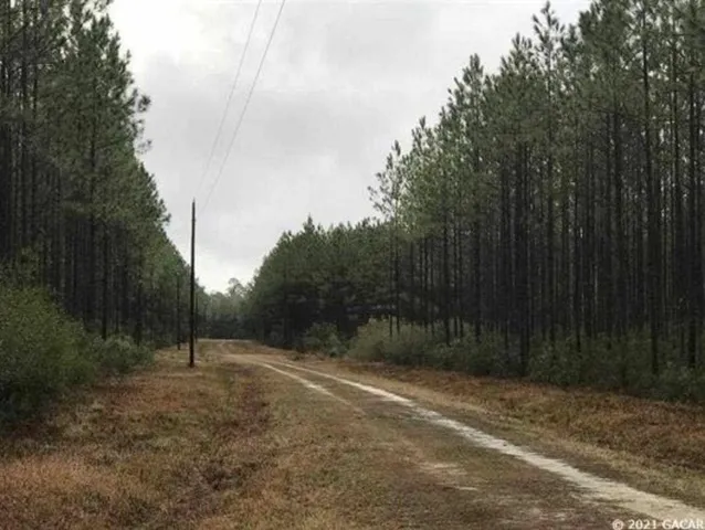 a view of outdoor space and trees