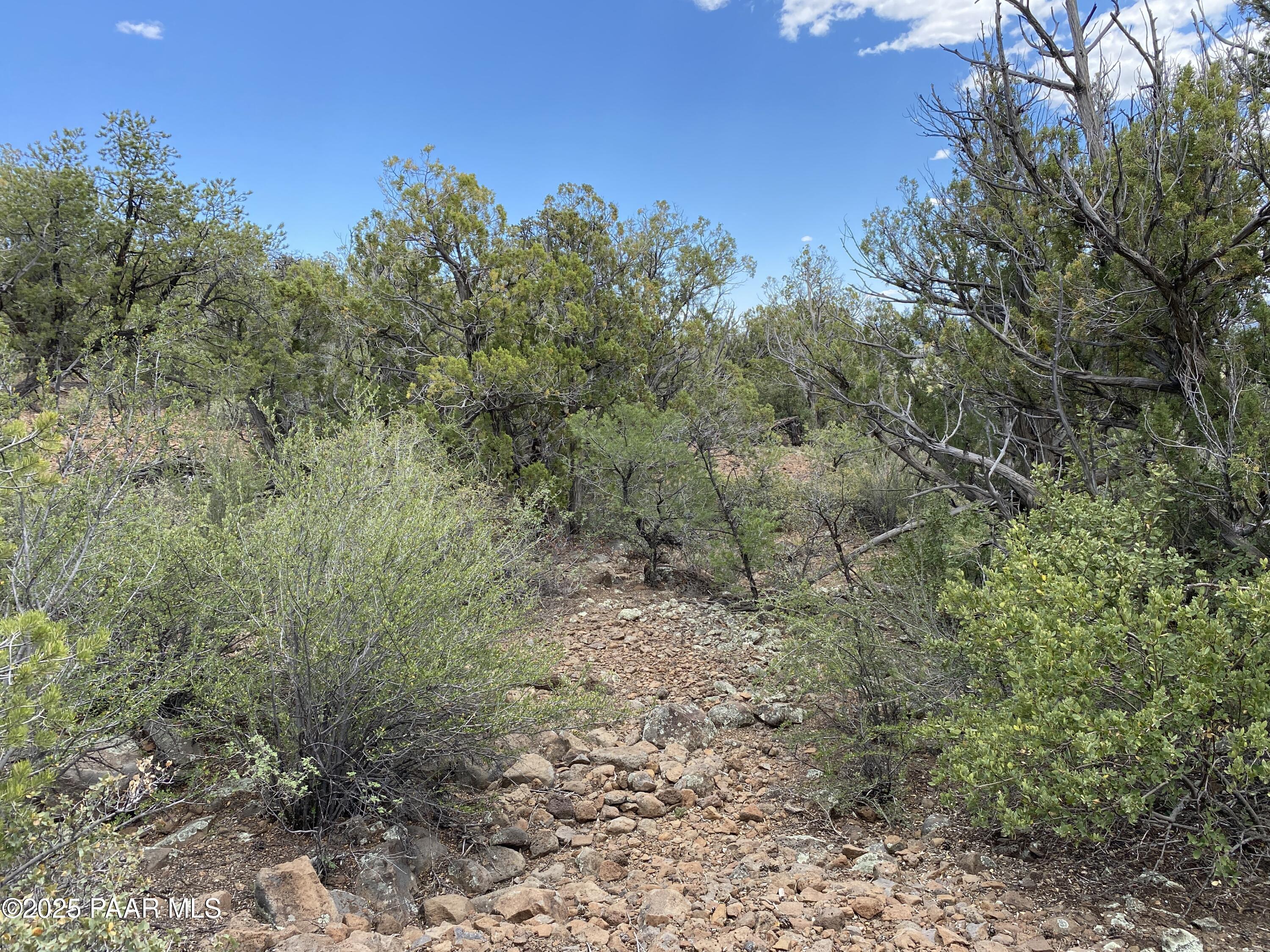 0 Shiloh Road Seligman, AZ 86337 - Photo 25 of 37 IMG_1022