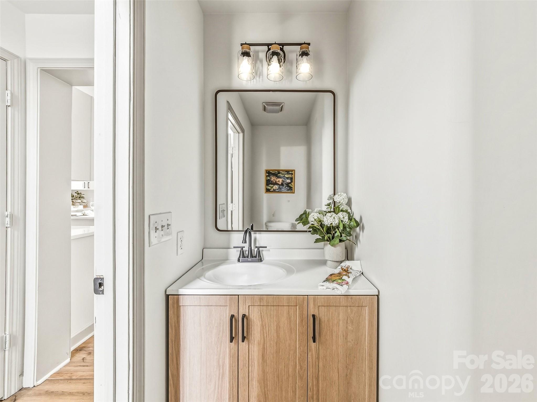 907 Gleason Street Arden, NC 28704 - Photo 31 of 41 a bathroom with a sink and a mirror