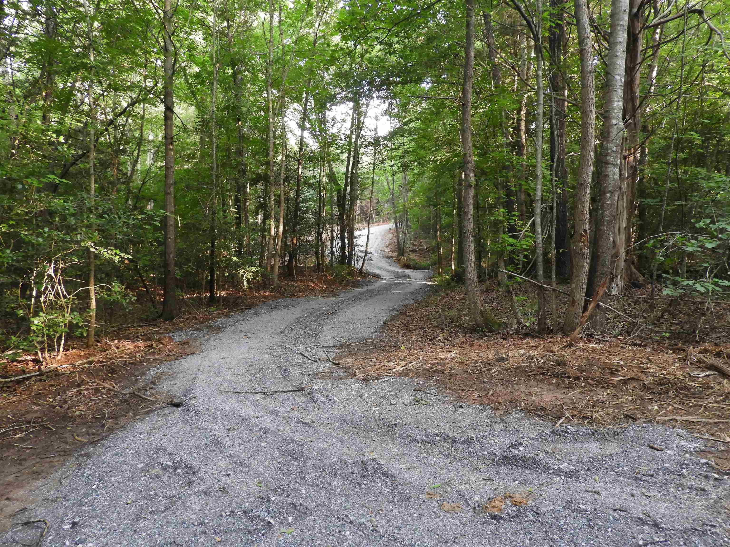 2109-tract D 2109-tract D Riddle Road Pauline, SC 29374 - Photo 4 of 42