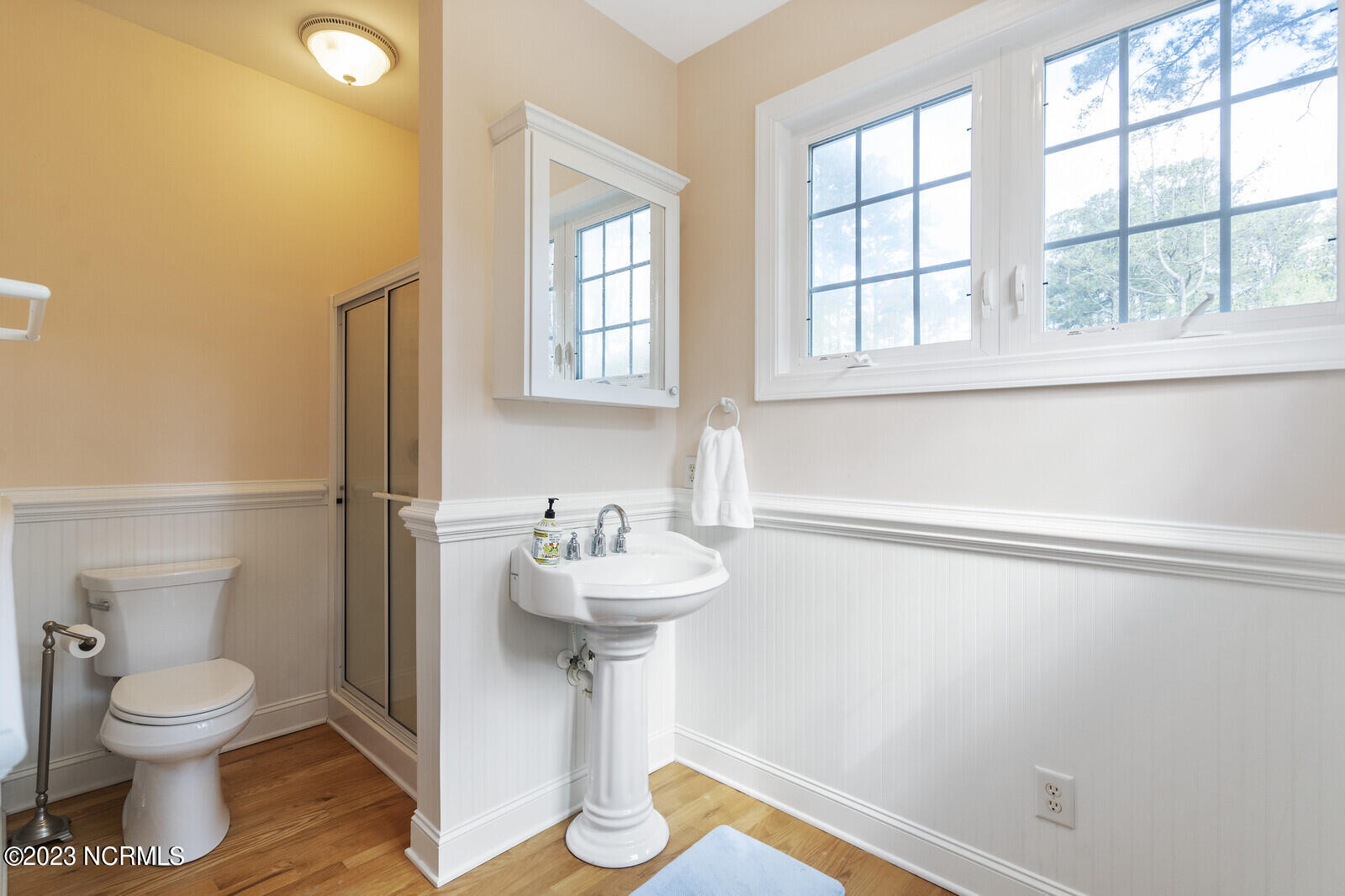 101 Rappahannock Drive Chocowinity, NC 27817 - Photo 91 of 193 91_DSC02586_mls