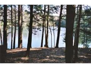 312 Harantis Lake Road Chester, NH 03036 - Photo 3 of 6
