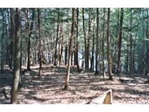 312 Harantis Lake Road Chester, NH 03036 - Photo 4 of 6