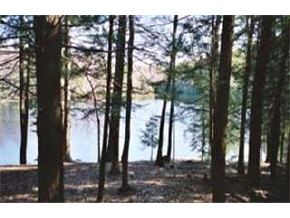 312 Harantis Lake Road Chester, NH 03036 - Photo 5 of 6
