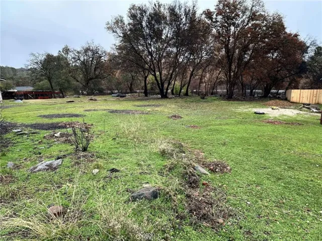a view of a field with trees in the background