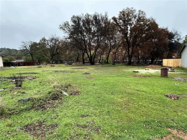 a big yard with lots of green space and trees