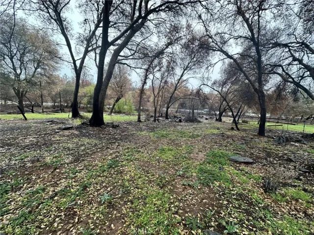 a view of house with a backyard
