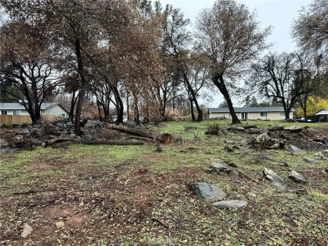 a view of backyard with green space