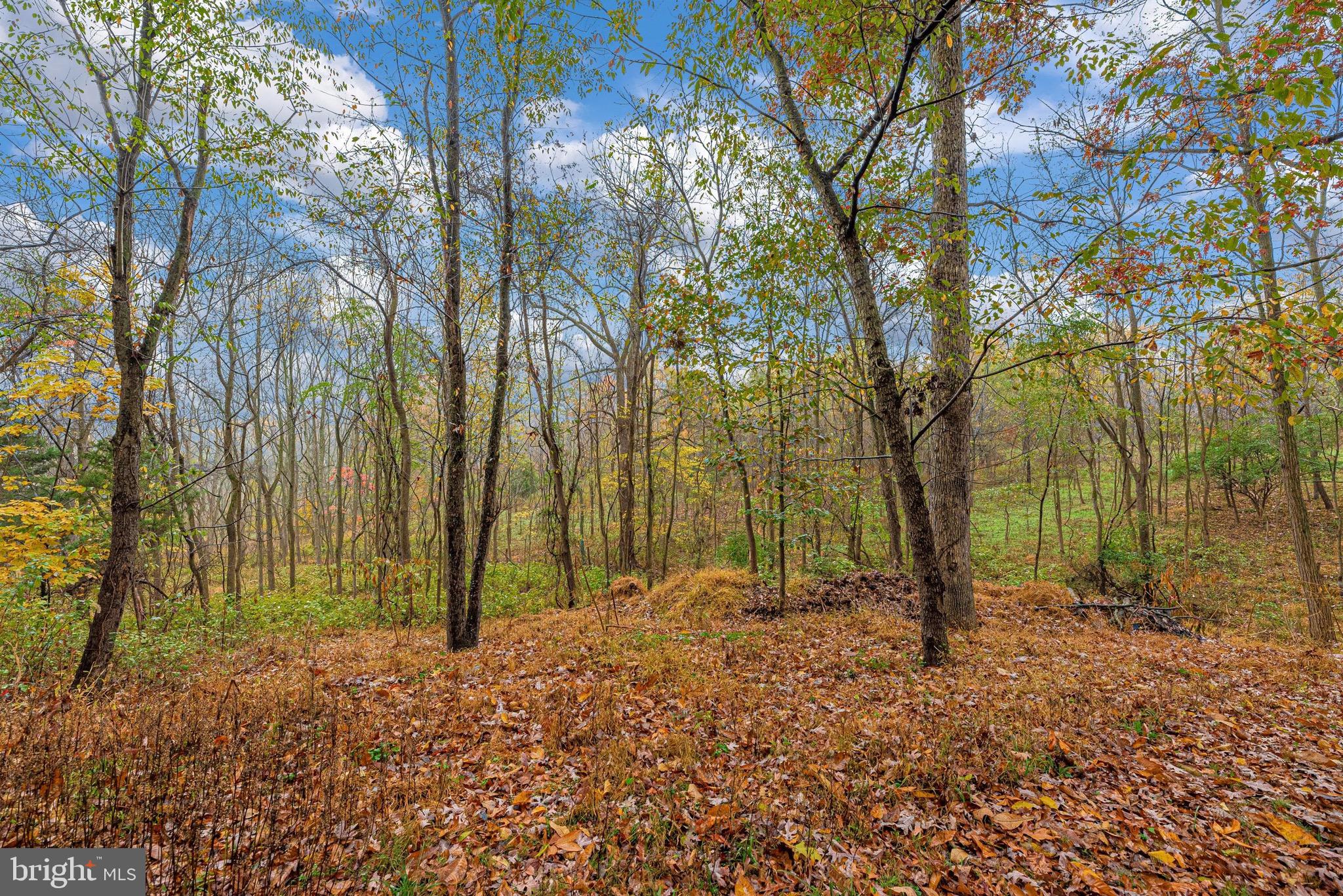 12901 Hessong Bridge Road Thurmont, MD 21788 - Photo 62 of 70 Gallery Image 62