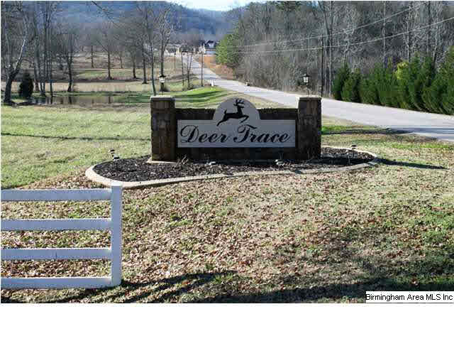 Mount Eagle Lane, Unit 2 Weaver, AL 36277 - Photo 1 of 26