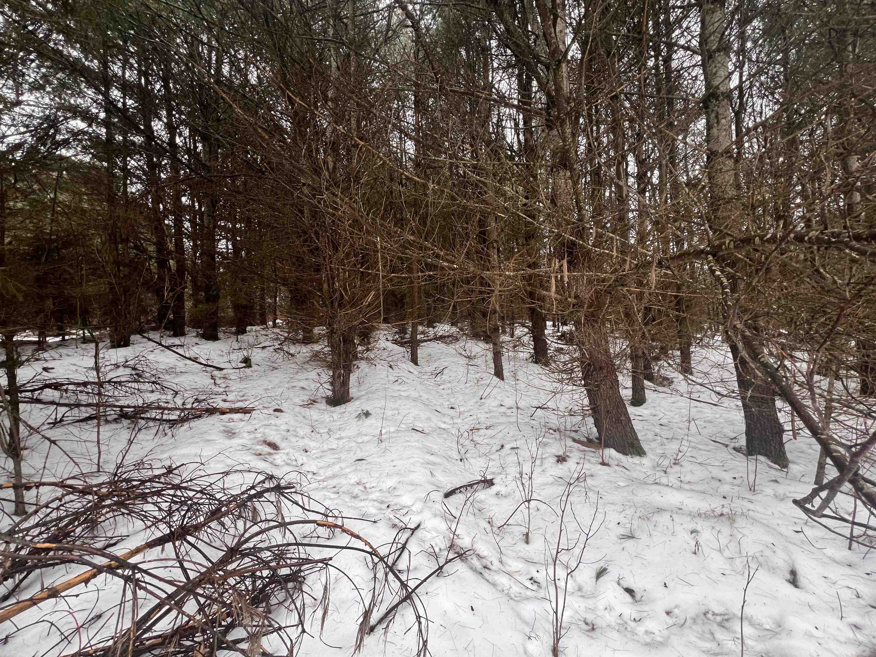 W6657 Right Of Way Road Pembine, WI 54156 - Photo 13 of 22