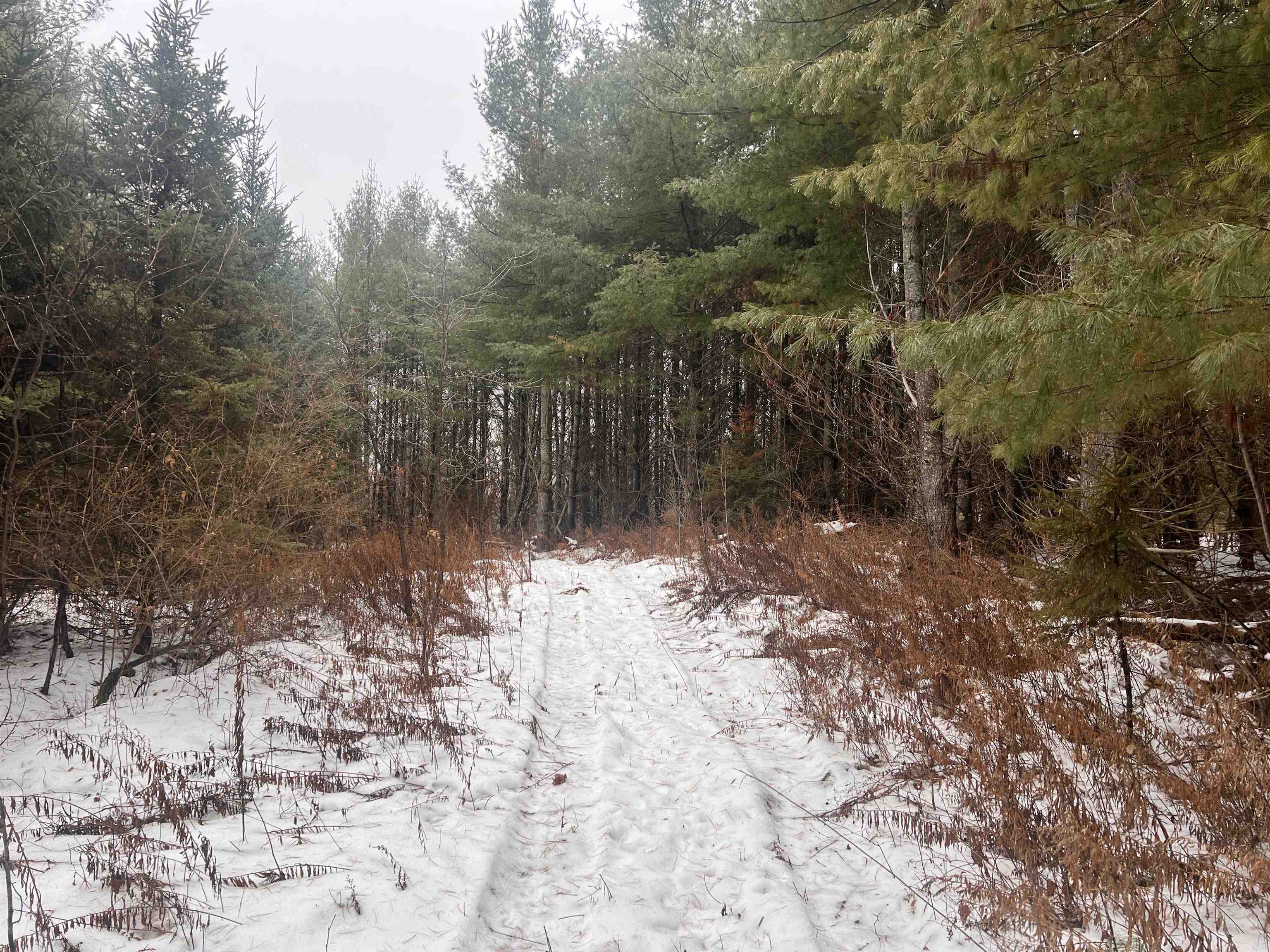 W6657 Right Of Way Road Pembine, WI 54156 - Photo 14 of 22