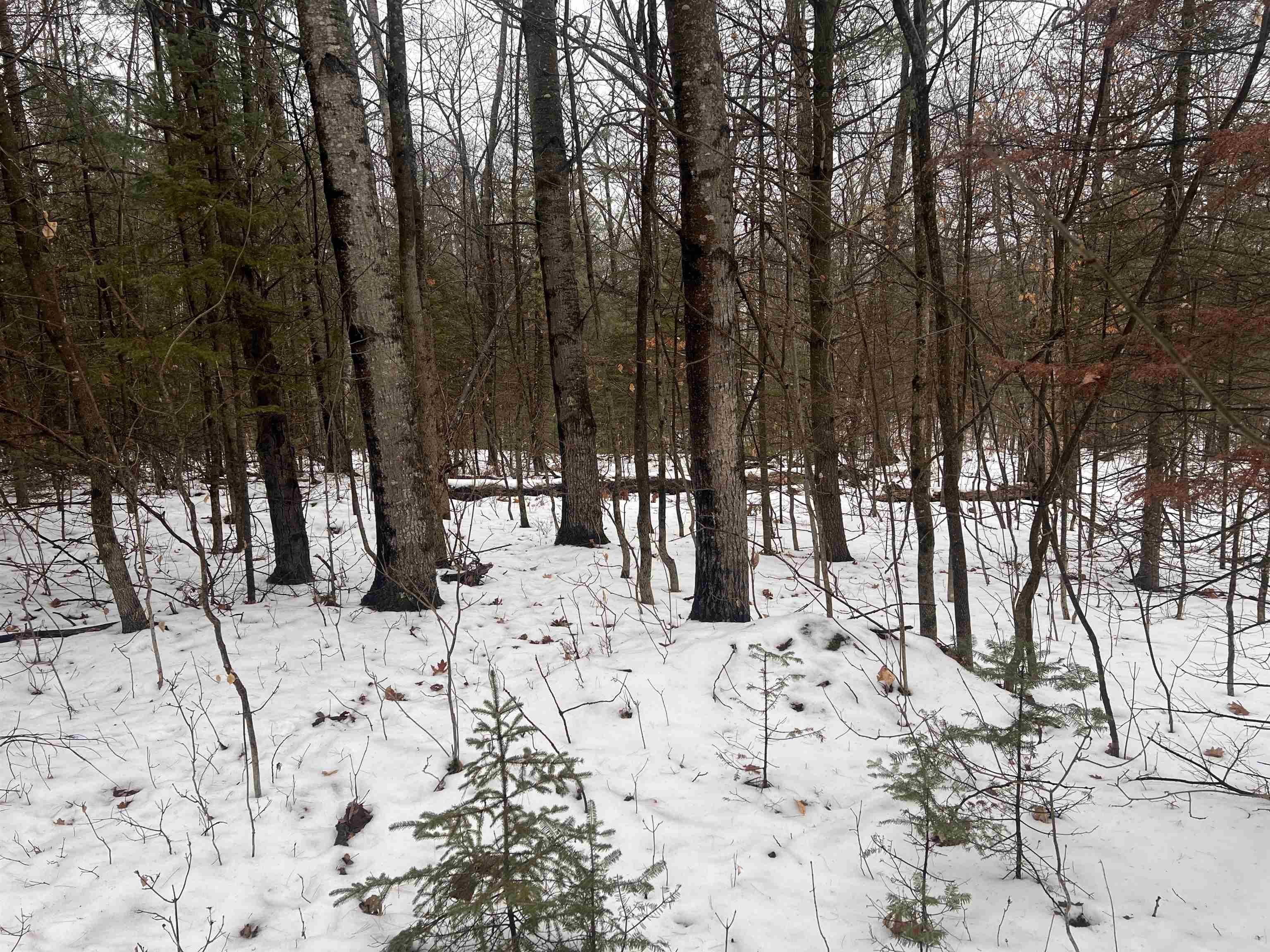 W6657 Right Of Way Road Pembine, WI 54156 - Photo 15 of 22