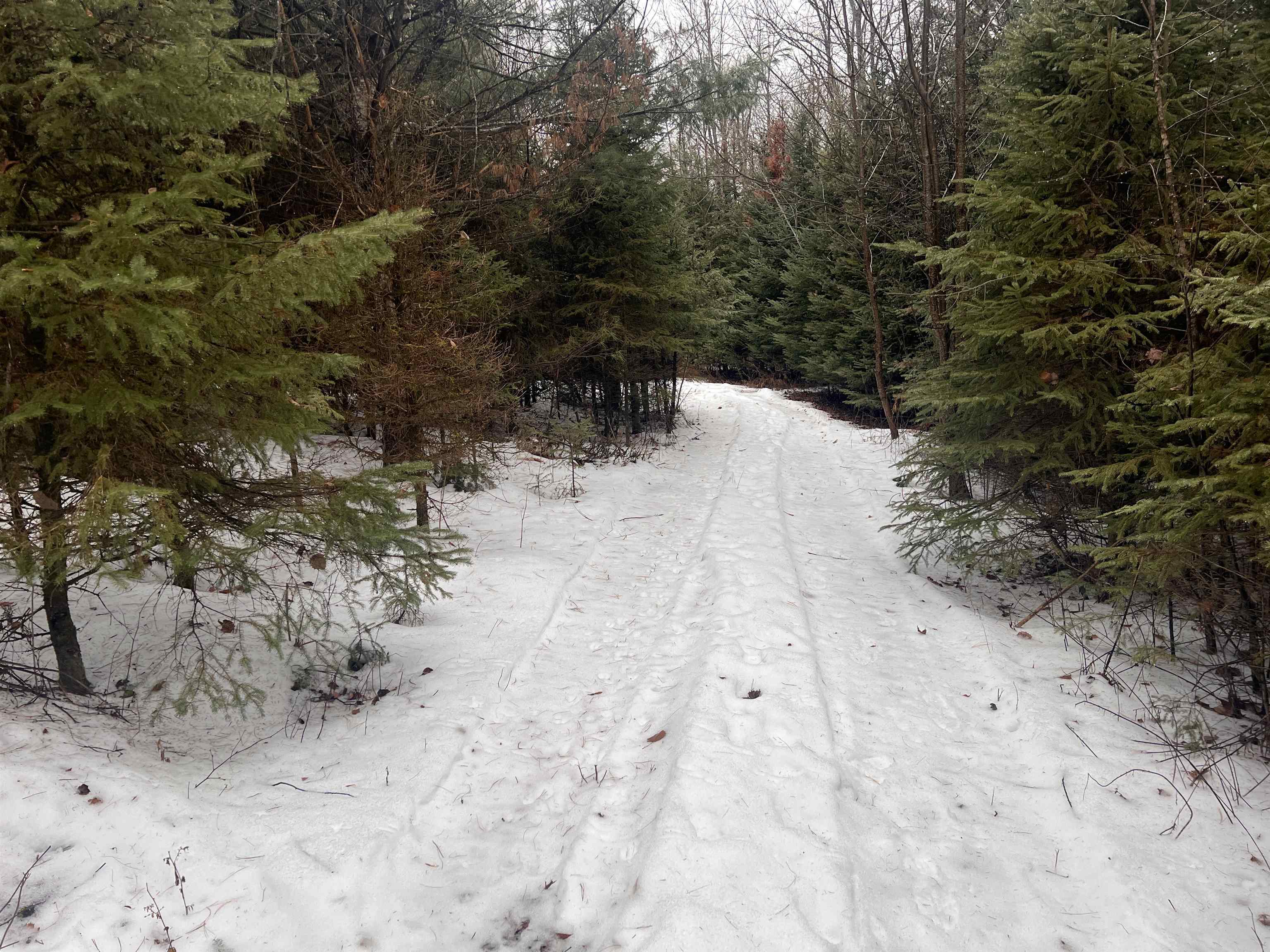 W6657 Right Of Way Road Pembine, WI 54156 - Photo 17 of 22