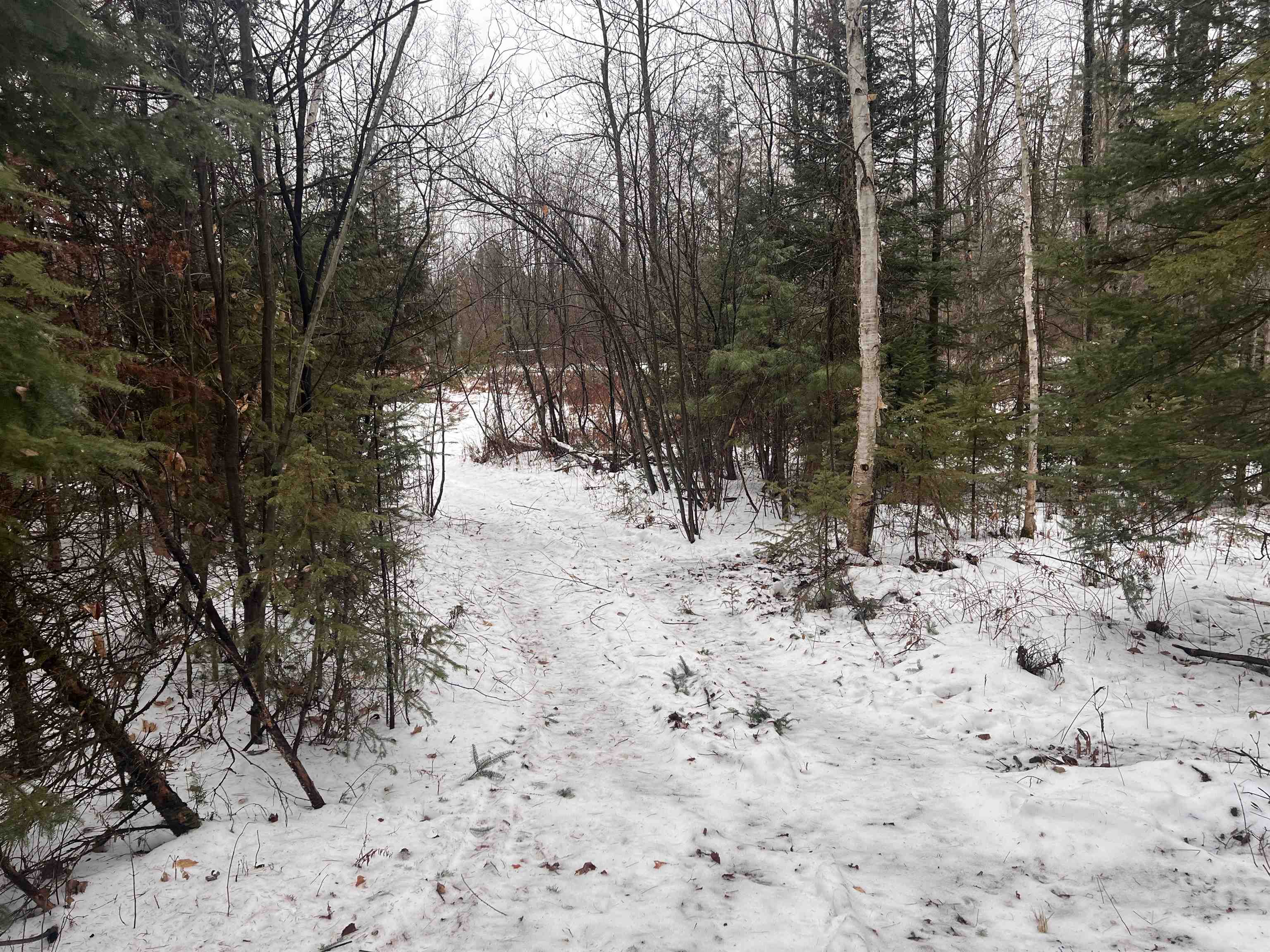 W6657 Right Of Way Road Pembine, WI 54156 - Photo 18 of 22