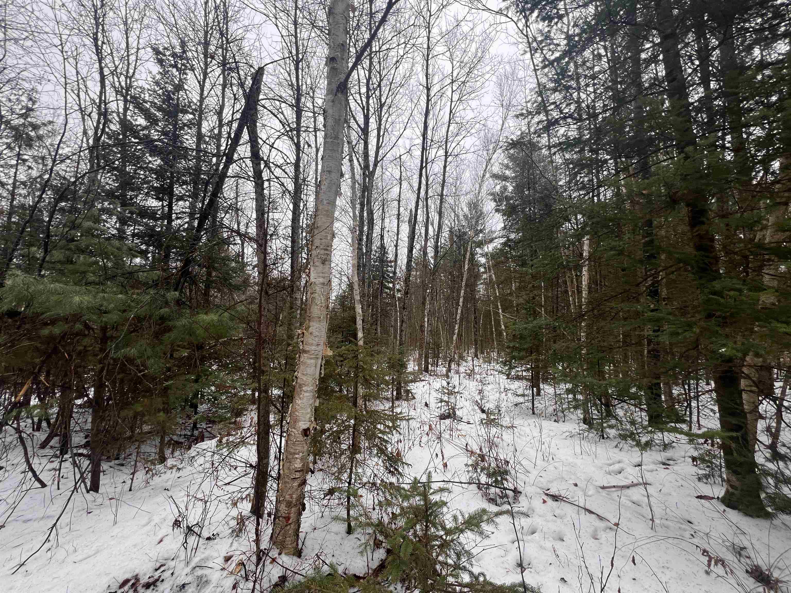 W6657 Right Of Way Road Pembine, WI 54156 - Photo 19 of 22