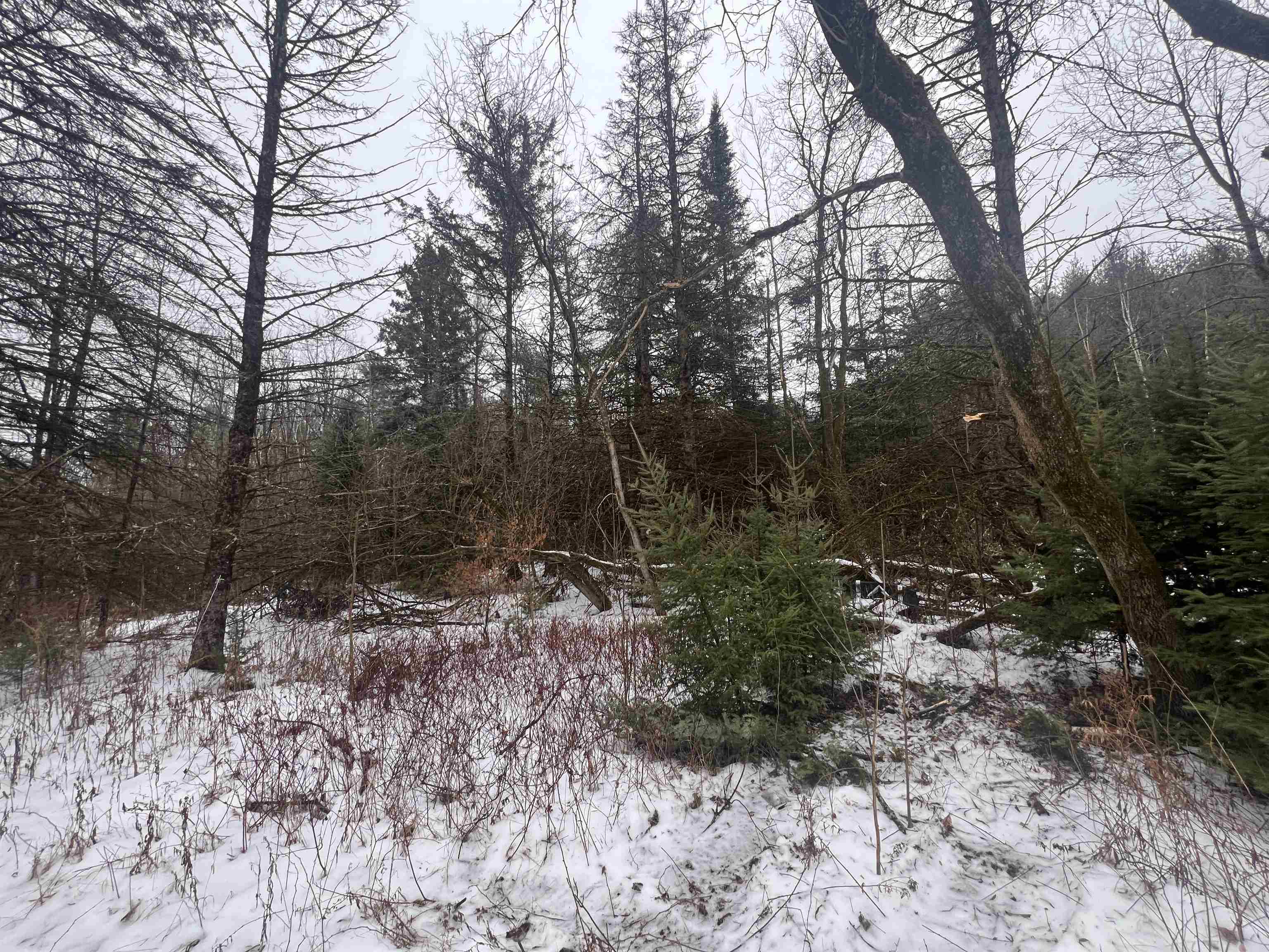 W6657 Right Of Way Road Pembine, WI 54156 - Photo 10 of 22