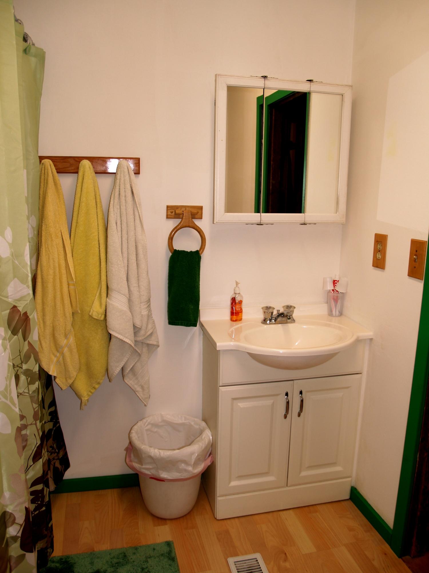 215 Disco Loop Road Friendsville, TN 37737 - Photo 18 of 40 Master Bath