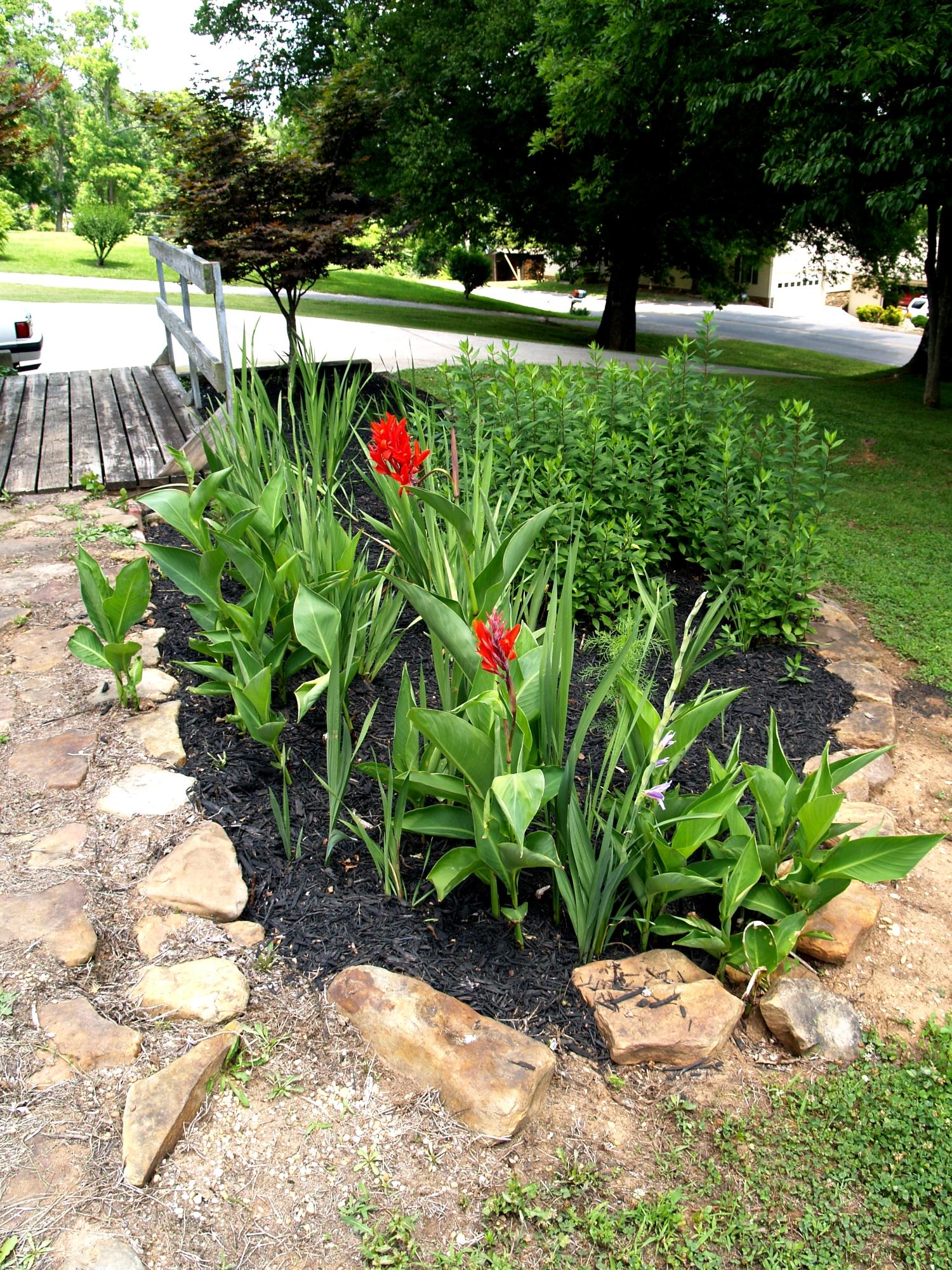 215 Disco Loop Road Friendsville, TN 37737 - Photo 32 of 40 Landscaping