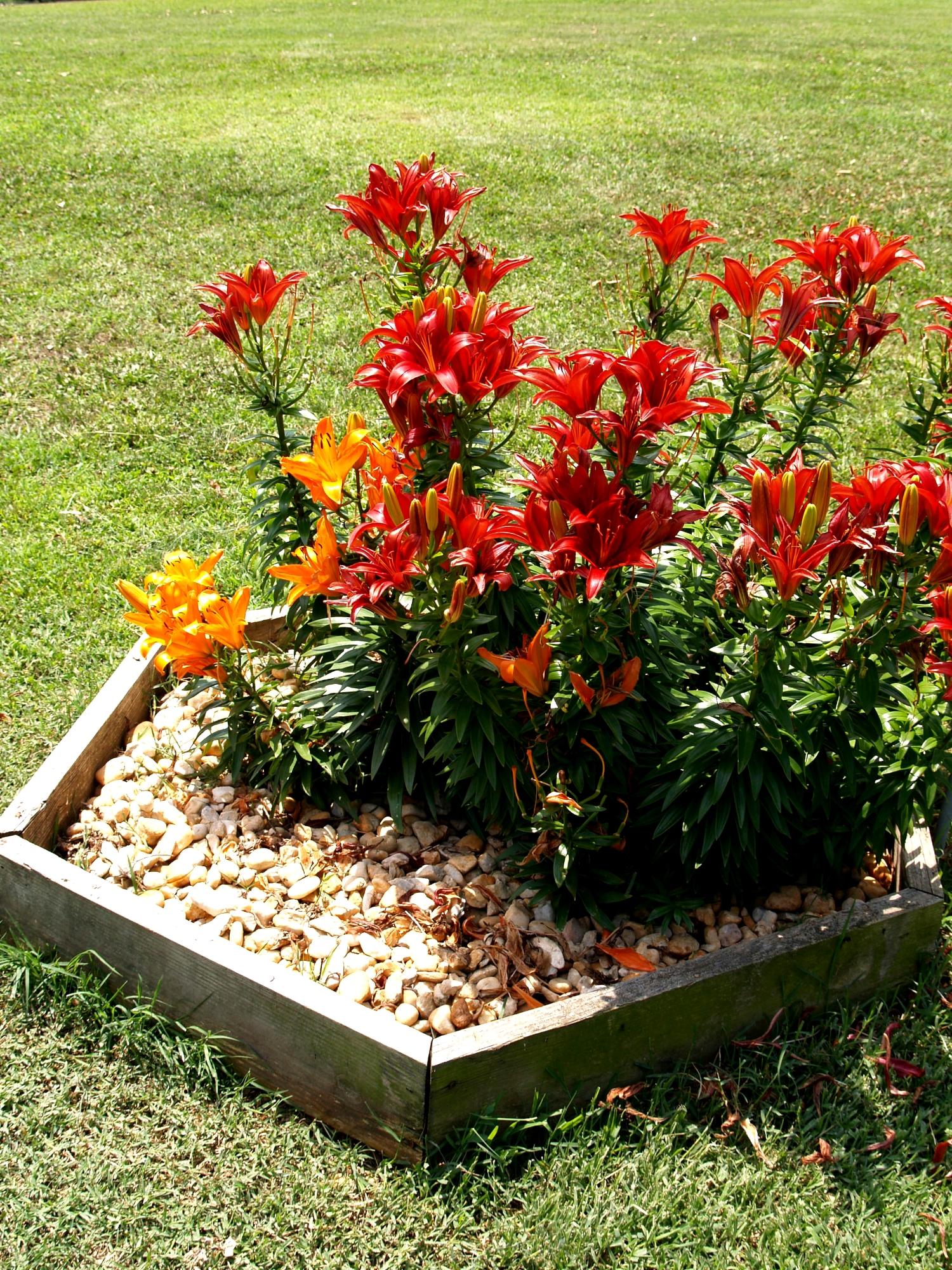 215 Disco Loop Road Friendsville, TN 37737 - Photo 35 of 40 Landscaping