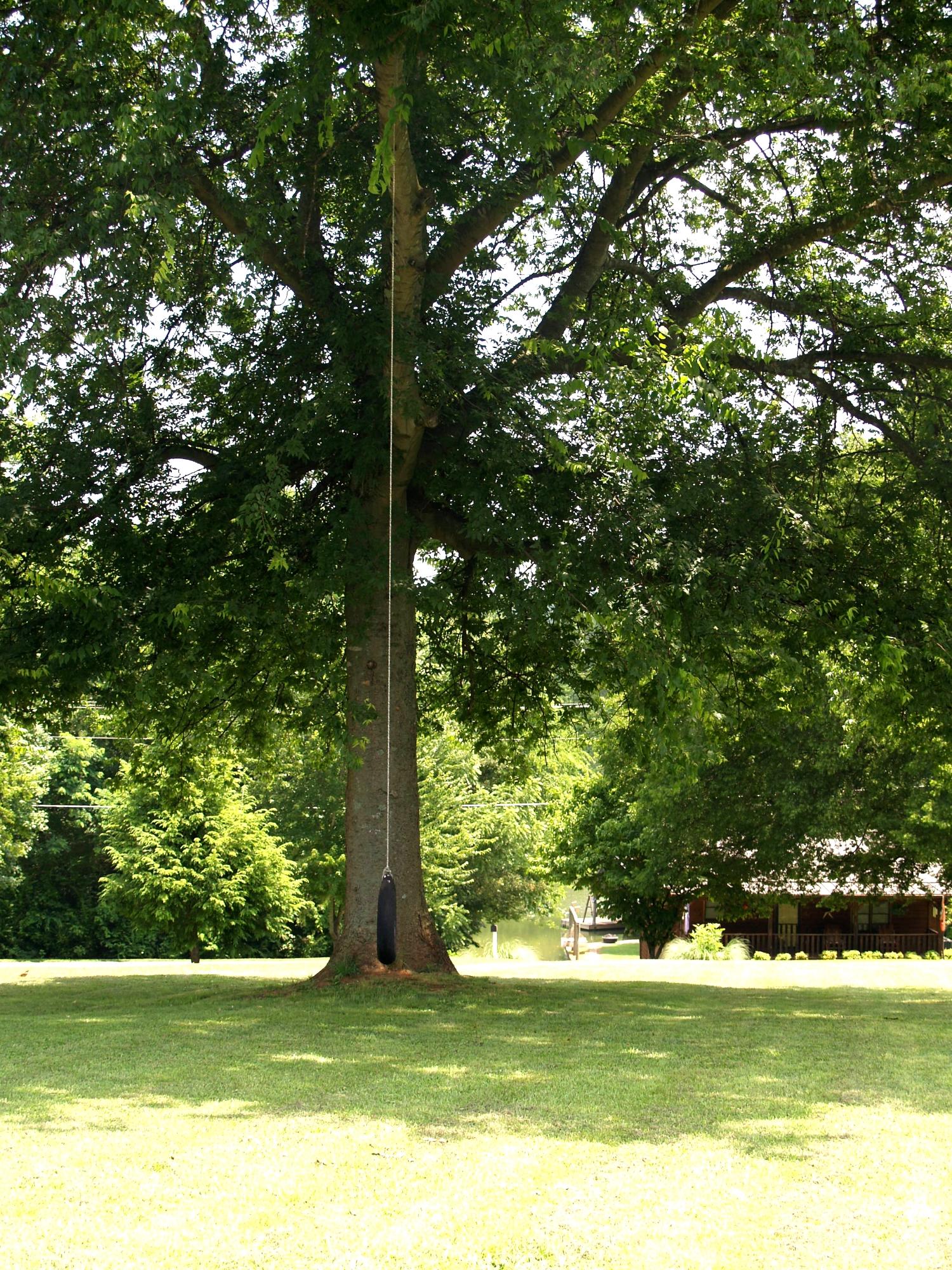 215 Disco Loop Road Friendsville, TN 37737 - Photo 40 of 40 Yard