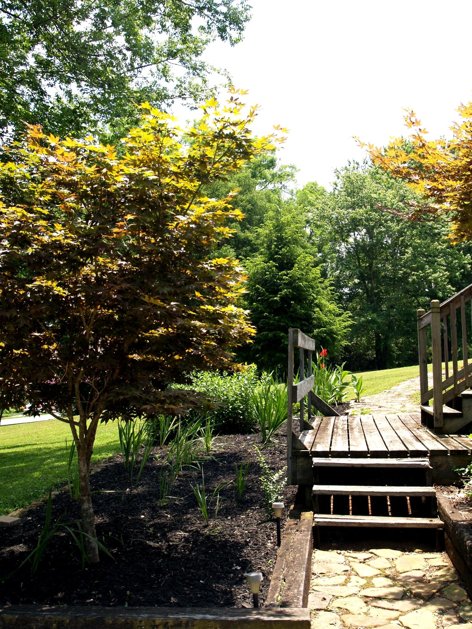 215 Disco Loop Road Friendsville, TN 37737 - Photo 6 of 40 Landscaping