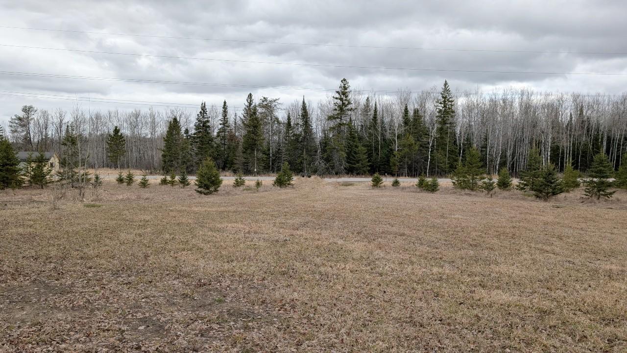 11856 State Highway 1 Cook, MN 55723 - Photo 9 of 19