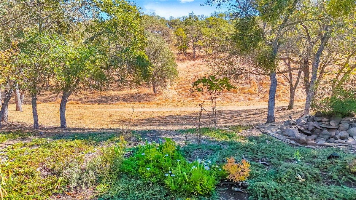 8 Rock Ridge Court Copperopolis, CA 95228 - Photo 22 of 93 Private backyard with wild life as you neighbors