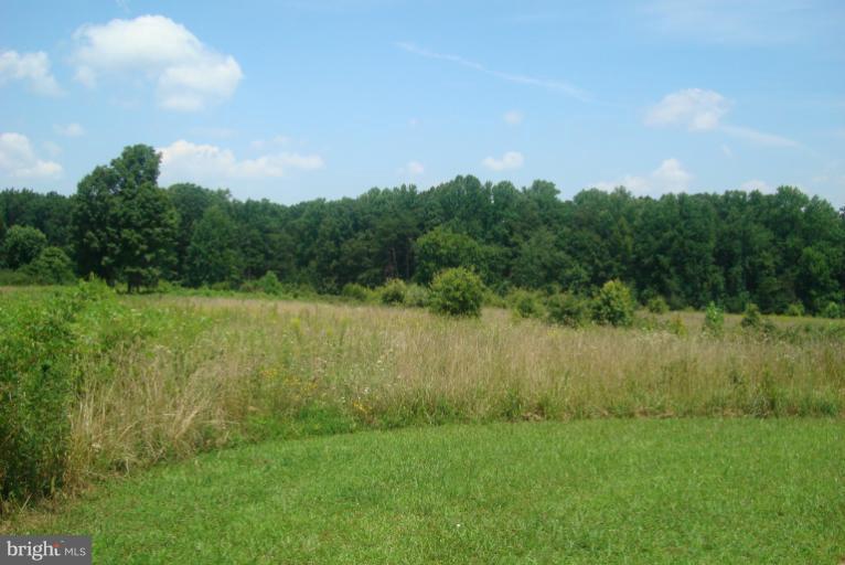 9001 Marye Road Partlow, VA 22534 - Photo 16 of 25 a view of a lake with a yard