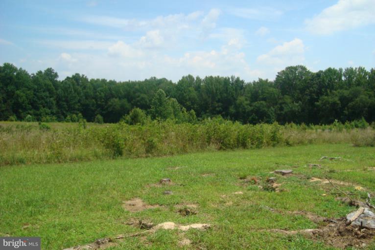 9001 Marye Road Partlow, VA 22534 - Photo 21 of 25