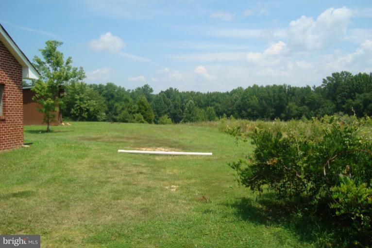 9001 Marye Road Partlow, VA 22534 - Photo 24 of 25 a view of a green field with clear sky