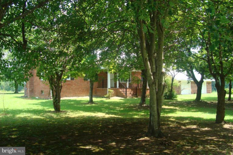 9001 Marye Road Partlow, VA 22534 - Photo 9 of 25 a view of a trees in a yard
