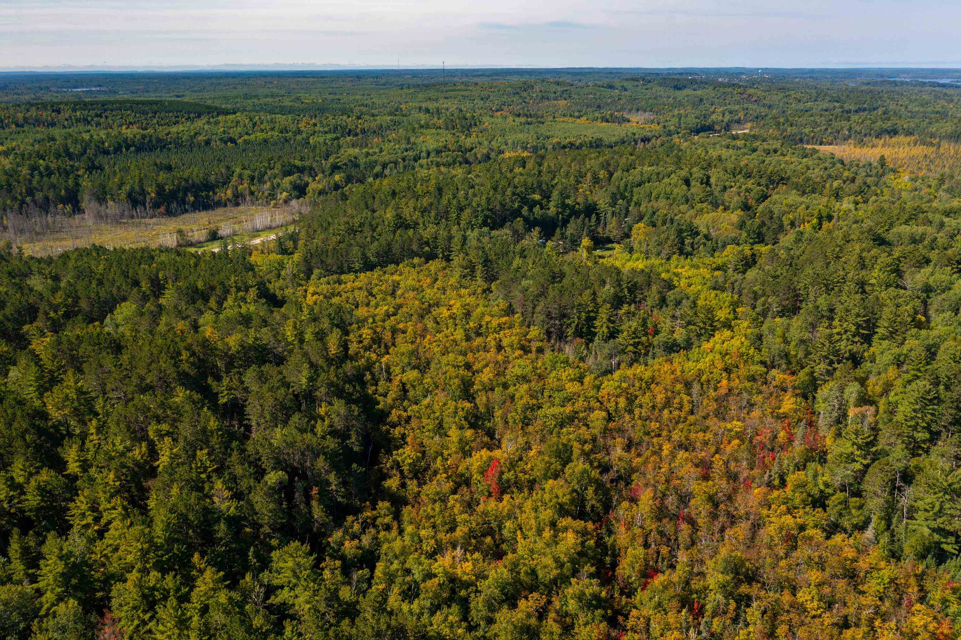 Xx Sellwood Road Ely, MN 55731 - Photo 44 of 44