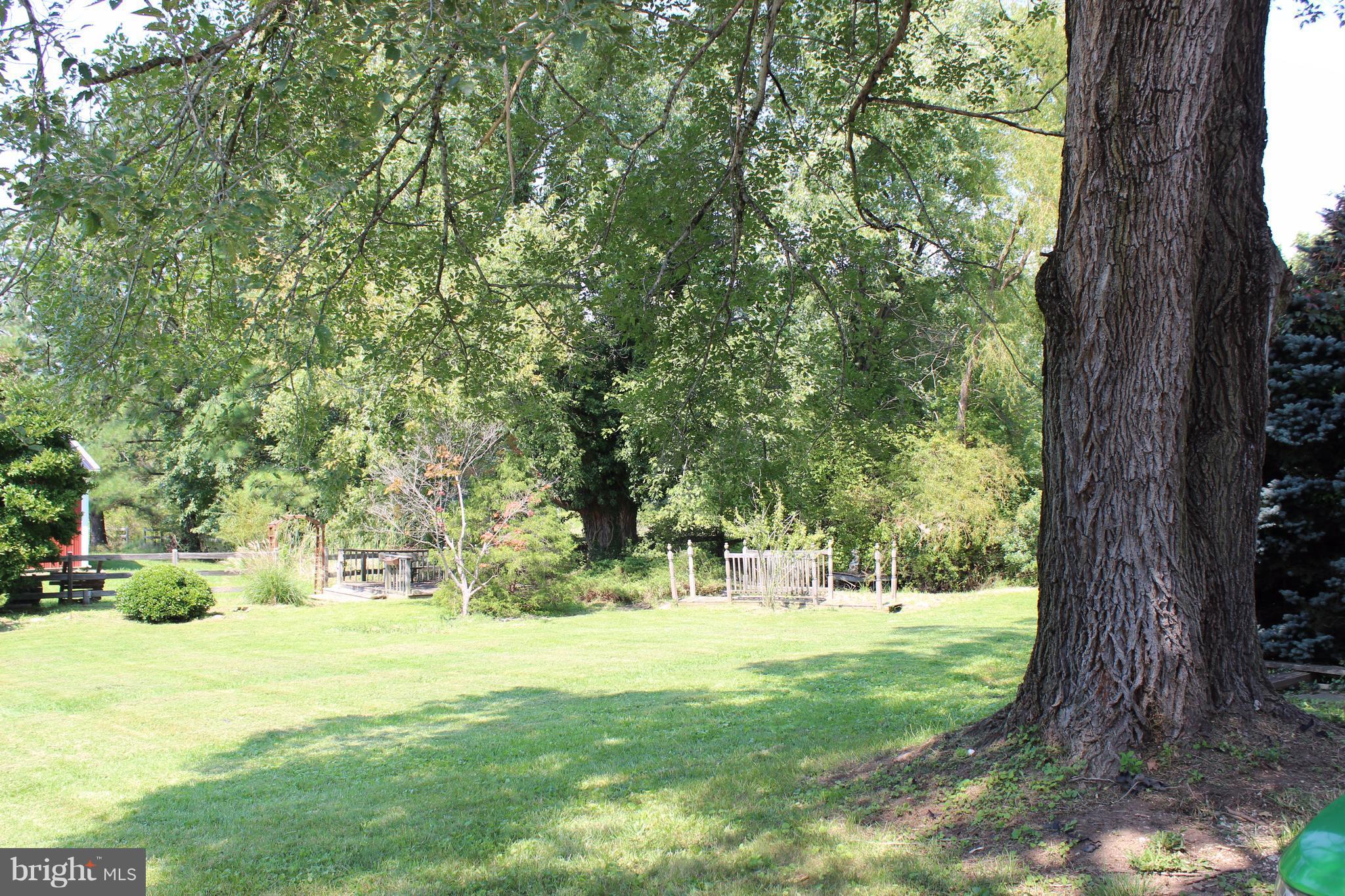 12160 Hall Shop Road Clarksville, MD 21029 - Photo 15 of 30 Beautiful yard!