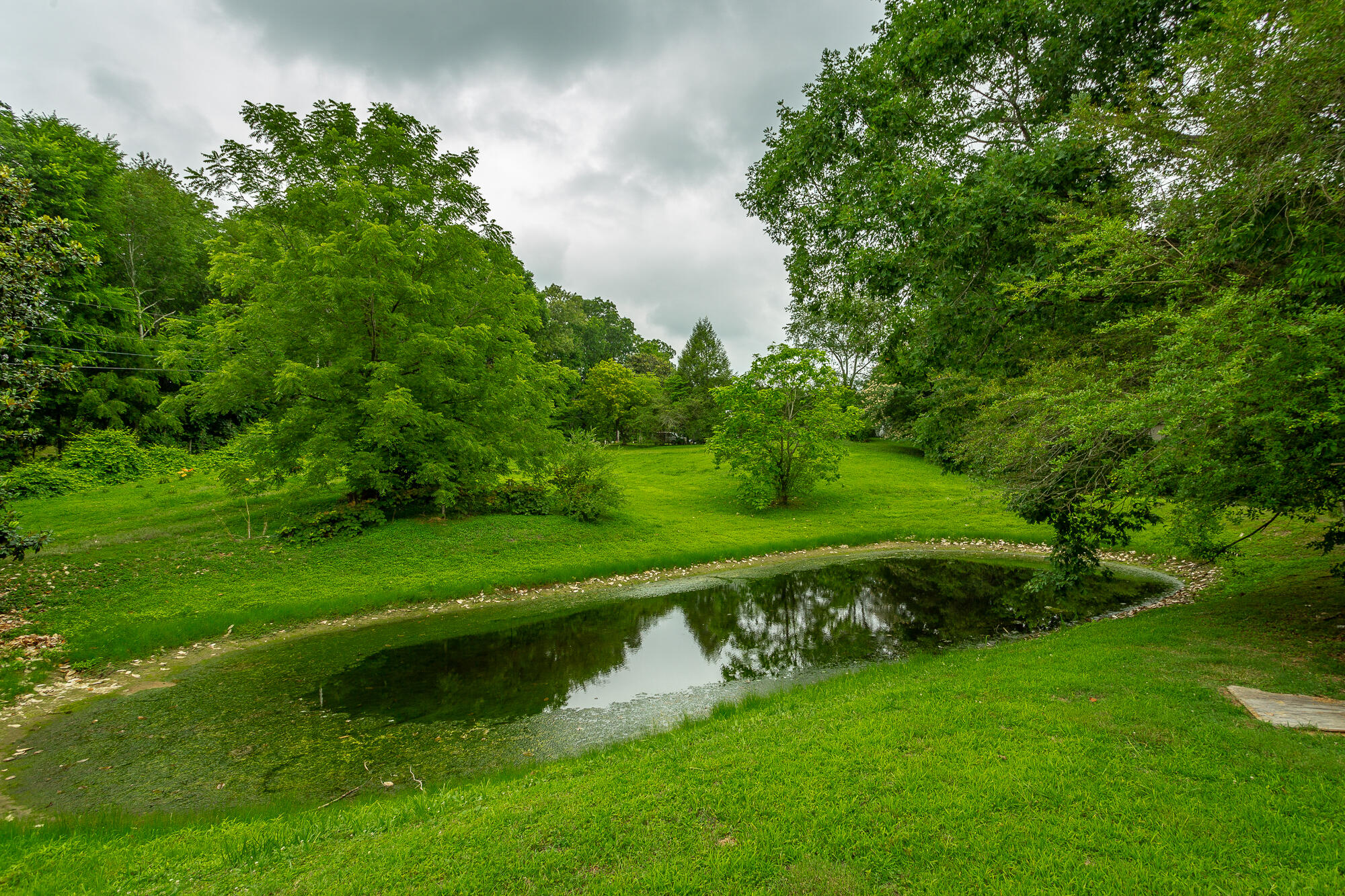 333 Cooper Road Rock Spring, GA 30739 - Photo 47 of 48 Pond