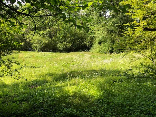 106 Shryer Road Athens, TN 37303 - Photo 2 of 7 IMG_4892