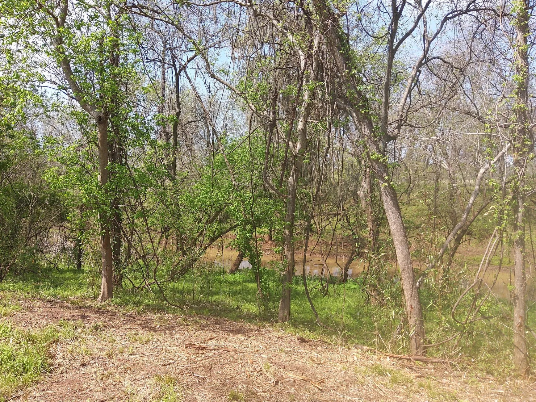 Lot 1 FM 521 Road Angleton, TX 77515 - Photo 23 of 34