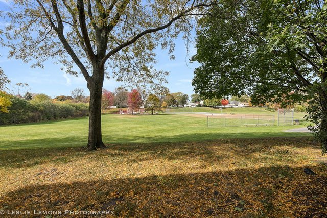 1338 South Lorraine Road, Unit A Wheaton, IL 60189 - Photo 4 of 20