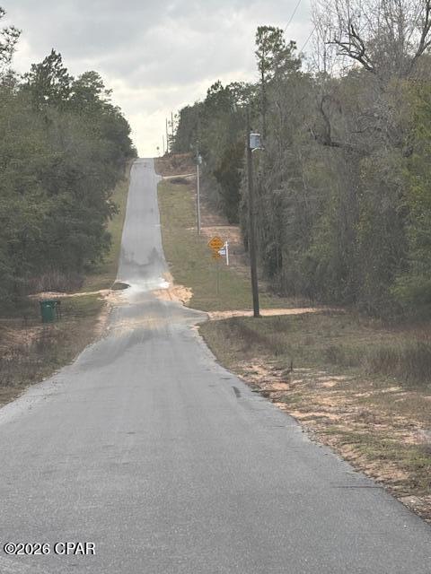 2816 Territory Road Chipley, FL 32428 - Photo 3 of 13